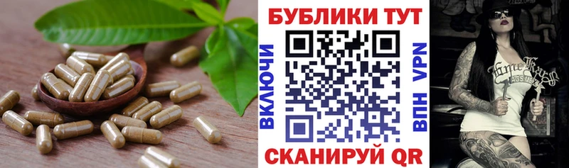 МЕГА вход Дальнегорск Ecstasy круглые