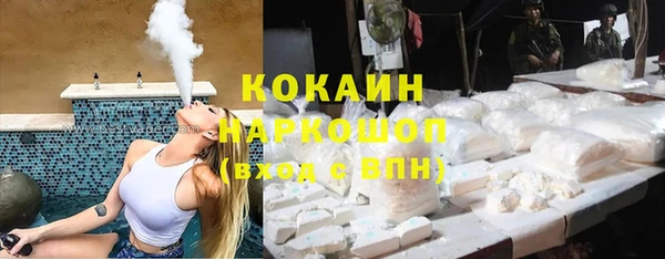 гидра Сясьстрой