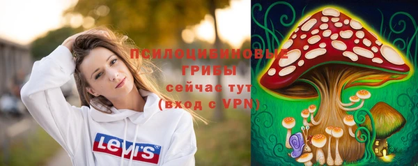 ПСИЛОЦИБИНОВЫЕ ГРИБЫ Тайга