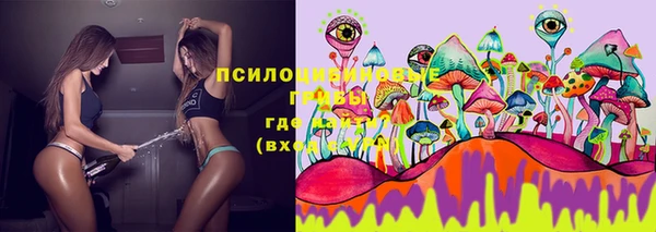 альфа пвп Тавда