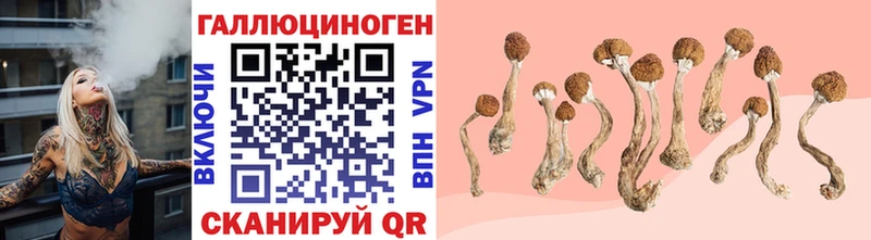 Галлюциногенные грибы мухоморы  Дальнегорск 